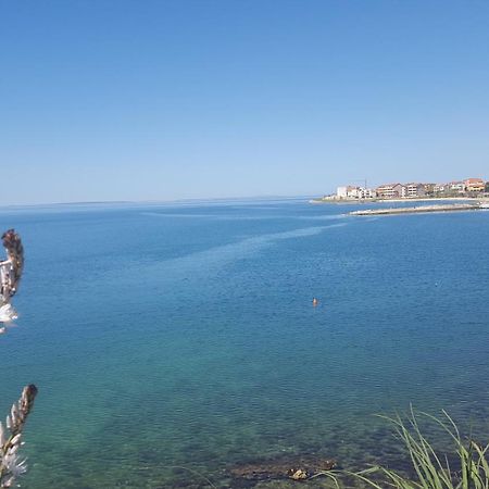 Zagi Daire Povljana Dış mekan fotoğraf